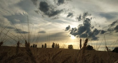 Рыбалка на пруду в с. Комаровка Черкасской области