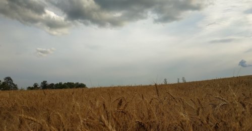 Рыбалка на пруду в с. Комаровка Черкасской области