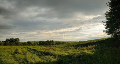 Рыбалка на пруду в с. Комаровка Черкасской области