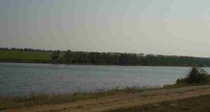 Рибалка на ставку у с. Яблунівка,