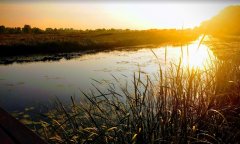 Рыбалка на речке Остёрка