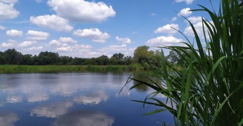 Рыбалка на реке Случь в Житомирской области