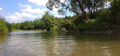 Рибалка на водоймі в Пужниках