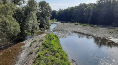 Рибалка на водоймі в Пужниках