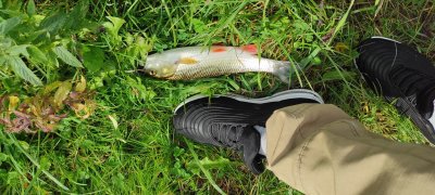 Рибалка на водоймі в Пужниках