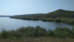 Рыбалка на водоёме промышленного рыбоводства и любительского лова в с. Маяки Одесской области