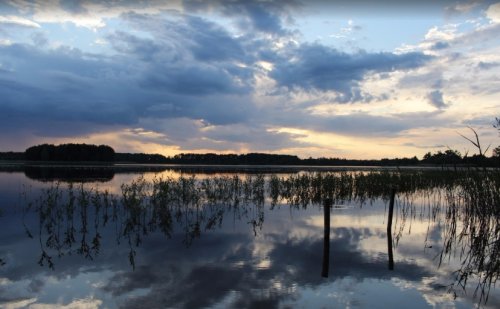 Риболовля на водоймі села Мисліні у Волинській області