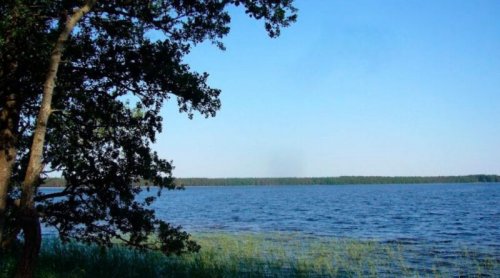 Риболовля на водоймі села Мисліні у Волинській області