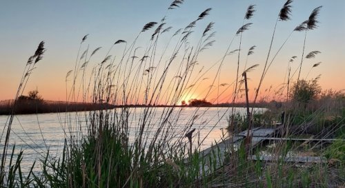 SРыбалка на водоёме «Старый порт»