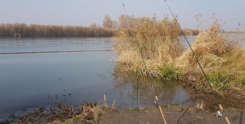 Рыбалка на водоёме «Старый порт»