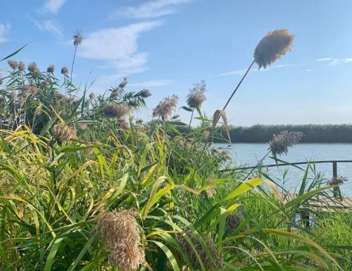 Рыбалка на водоёме «Старый порт»