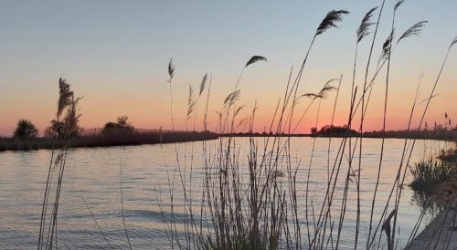 Рыбалка на водоёме «Старый порт»