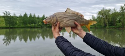 Риболовля на водоймі у Бобовищах
