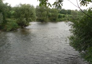 Рибалка на водоймі у с. Хімчин 
