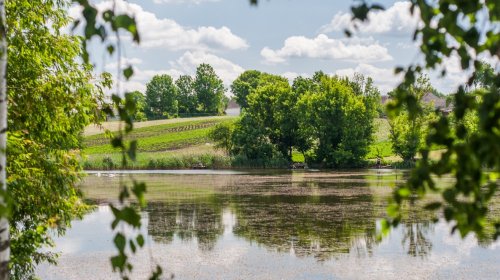 Рибалка на водоймі у с. Привітів Житомирської області