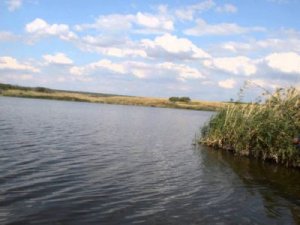 Рыбалка на Затишанском втором озере в с. Затишье, Донецкой области-2