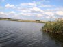 Рыбалка на Затишанском втором озере в с. Затишье, Донецкой области-2
