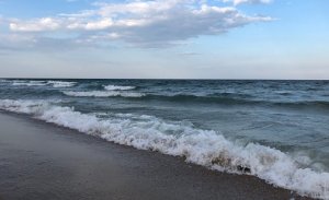 Рыбалка на водоеме Кефалевого хозяйства