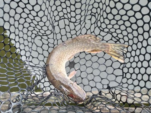 Рыбалка в Родинна Оселя в Киевской области