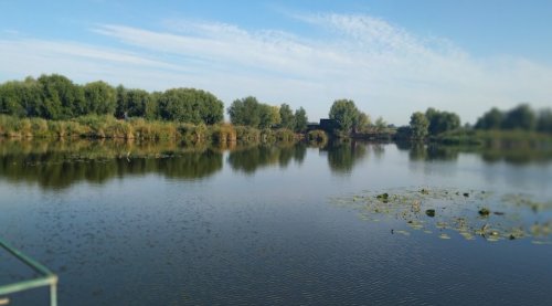 Рыбацкая база 