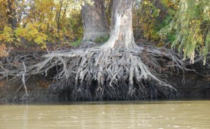 Рыболовная база Дальний кордон в Одесской области-2