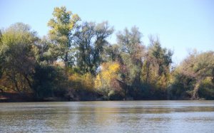 Рыболовная база Дальний кордон в Одесской области-1