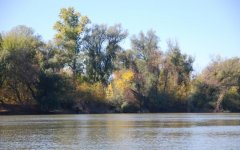 Рыболовная база Дальний кордон в Одесской области-1