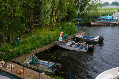 Рибальська база «Нептун» у Чернігівській області