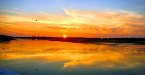 Рибальська база «Нептун» у Чернігівській області