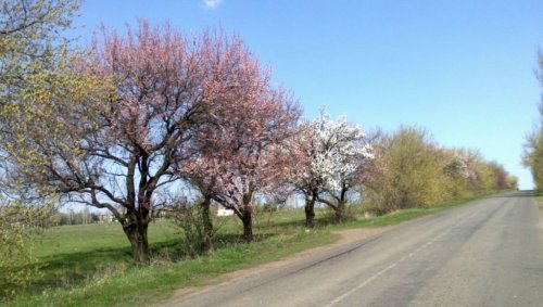 Рибальська база Суха балка в Дніпропетровській областіхая балка в Днепропетровской области
