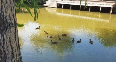 Рыболовно-охотничья база 