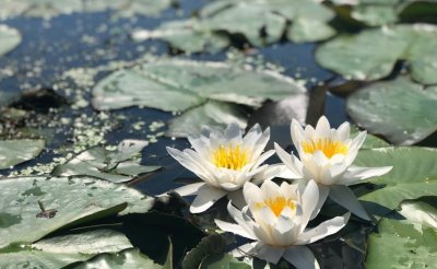 Рыболовно-охотничья база «Вершина де Люкс»