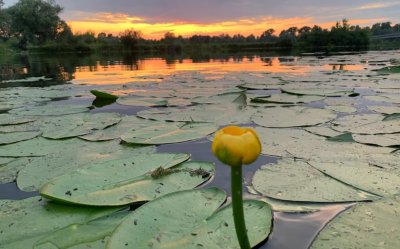 Солонецкое озеро