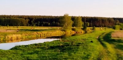 Солонецкое озеро