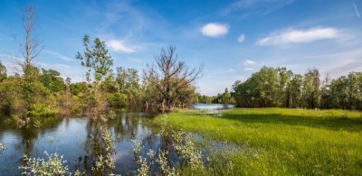 Солонецкое озеро