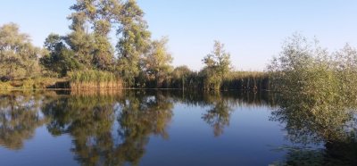 Солонецкое озеро