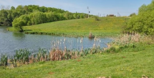 Ставки Борислав у Вінницькій області