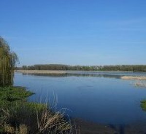 Ставки у с. Студлів Івано-Франківської області