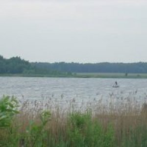 Ставки у с. Студлів Івано-Франківської області