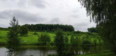 Рибалка у заміському комплексі: Березине у с. Зарванці, Вінницької області