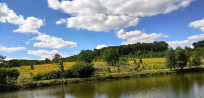 Рибалка у заміському комплексі: Березине у с. Зарванці, Вінницької області