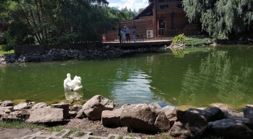 Загородный клуб Sobi Club 