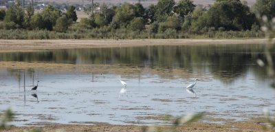 Рыбалка на Бахчисарайском водохранилище