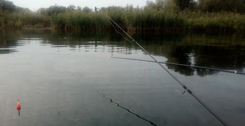 Рыбалка на базе отдыха: «Трехэтажка на Набережной»