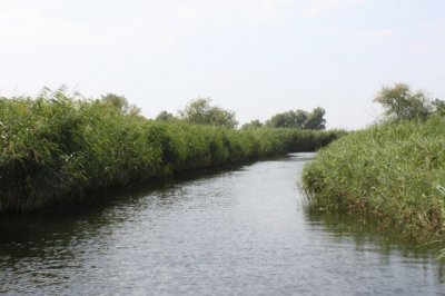 Рыбалка на базе отдыха: «Трехэтажка на Набережной»