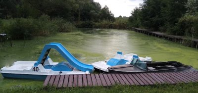 Рыбалка на базе отдыха 