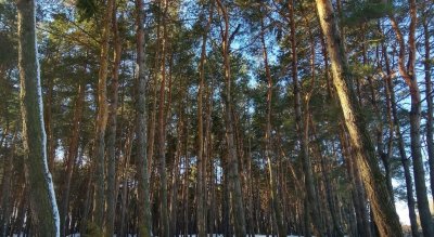 Рыбалка на базе отдыха 