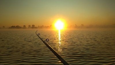 Рыбалка на Базе Рыбацкий хутор 