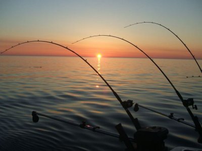 Рыбалка на базе «У дяди Саши»