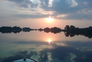 Рыбалка на базе «У дяди Саши»